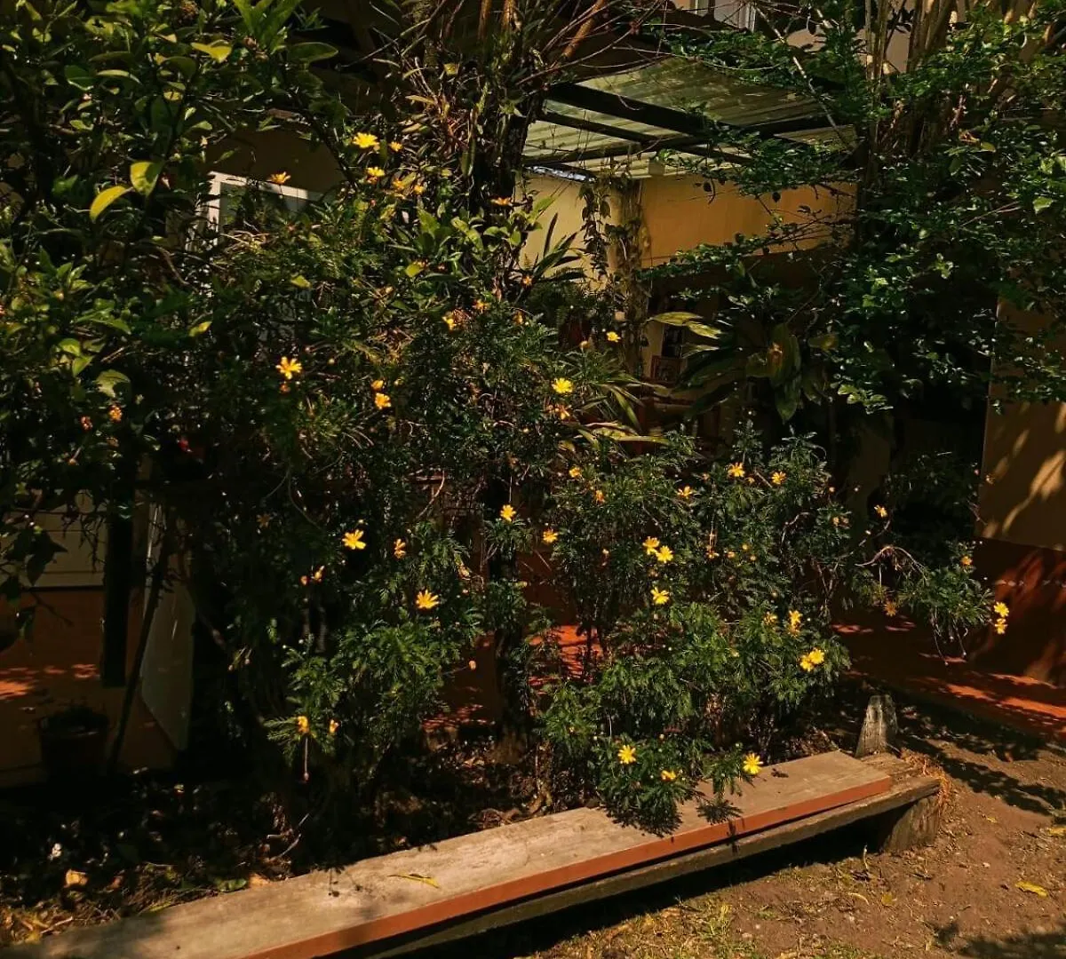 Villa Grandma'S House Cuenca Ecuador